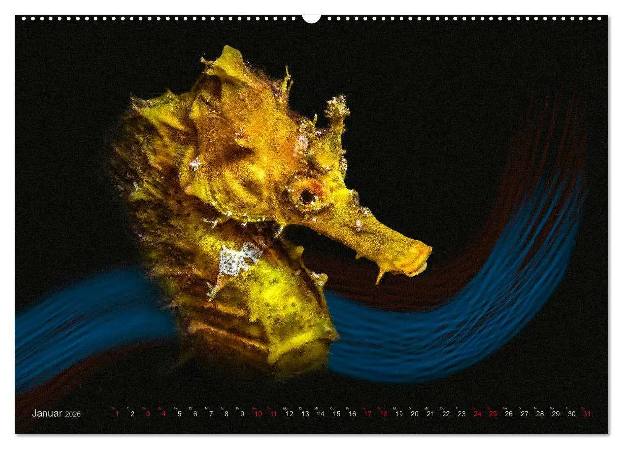 Bild: 9783457863824 | Artwork Unterwasser - Erlebnis Tauchen (Wandkalender 2026 DIN A2...