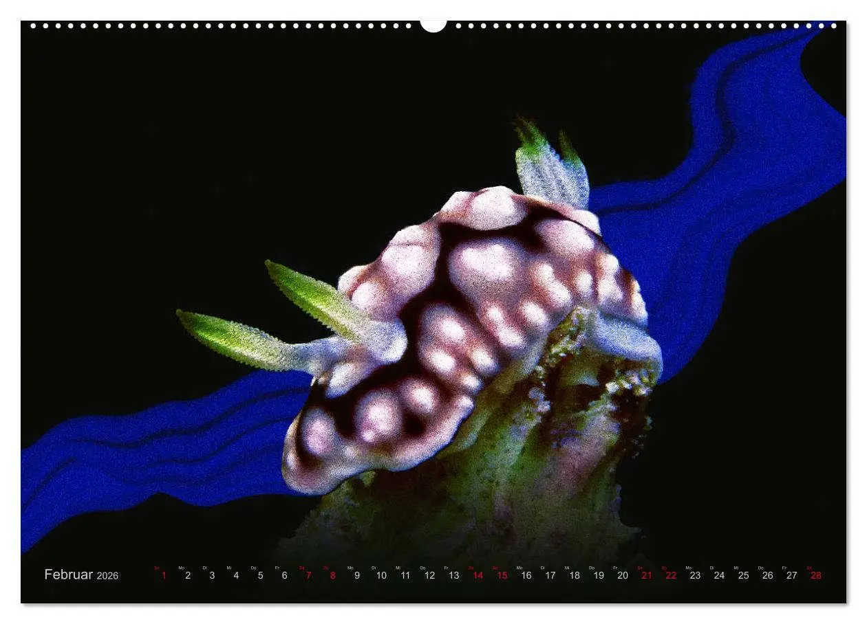 Bild: 9783457863824 | Artwork Unterwasser - Erlebnis Tauchen (Wandkalender 2026 DIN A2...