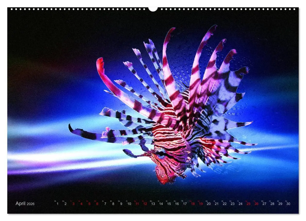 Bild: 9783457863824 | Artwork Unterwasser - Erlebnis Tauchen (Wandkalender 2026 DIN A2...