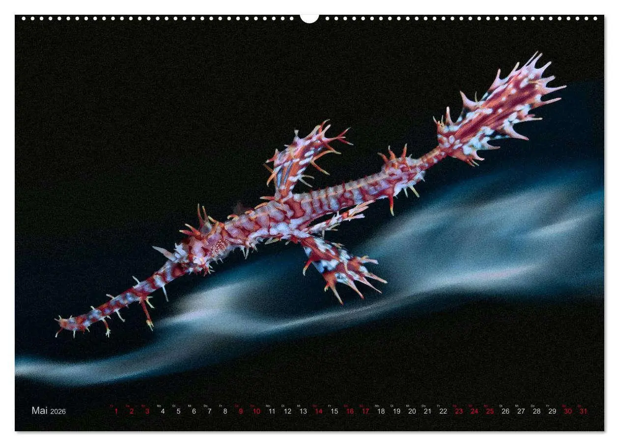 Bild: 9783457863824 | Artwork Unterwasser - Erlebnis Tauchen (Wandkalender 2026 DIN A2...
