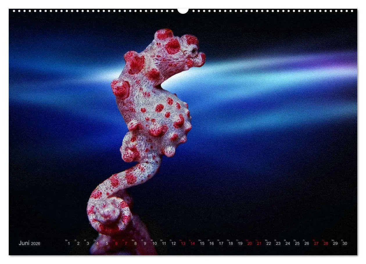 Bild: 9783457863824 | Artwork Unterwasser - Erlebnis Tauchen (Wandkalender 2026 DIN A2...