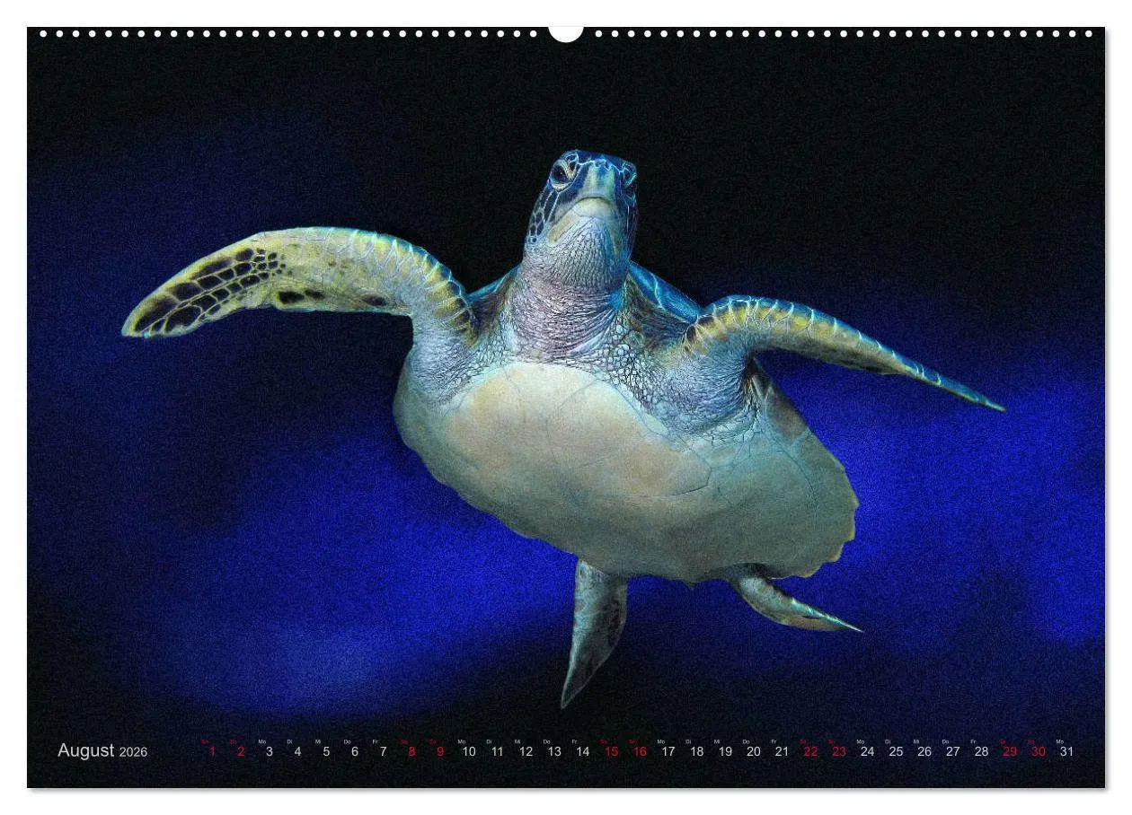 Bild: 9783457863824 | Artwork Unterwasser - Erlebnis Tauchen (Wandkalender 2026 DIN A2...