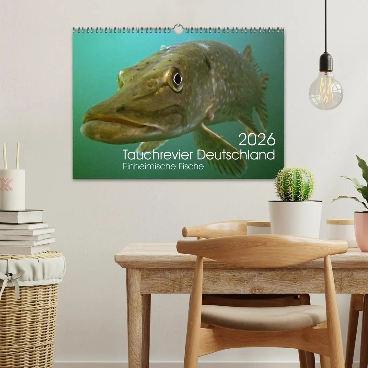 Bild: 9783516023824 | Tauchrevier Deutschland (Wandkalender 2026 DIN A3 quer), CALVENDO...