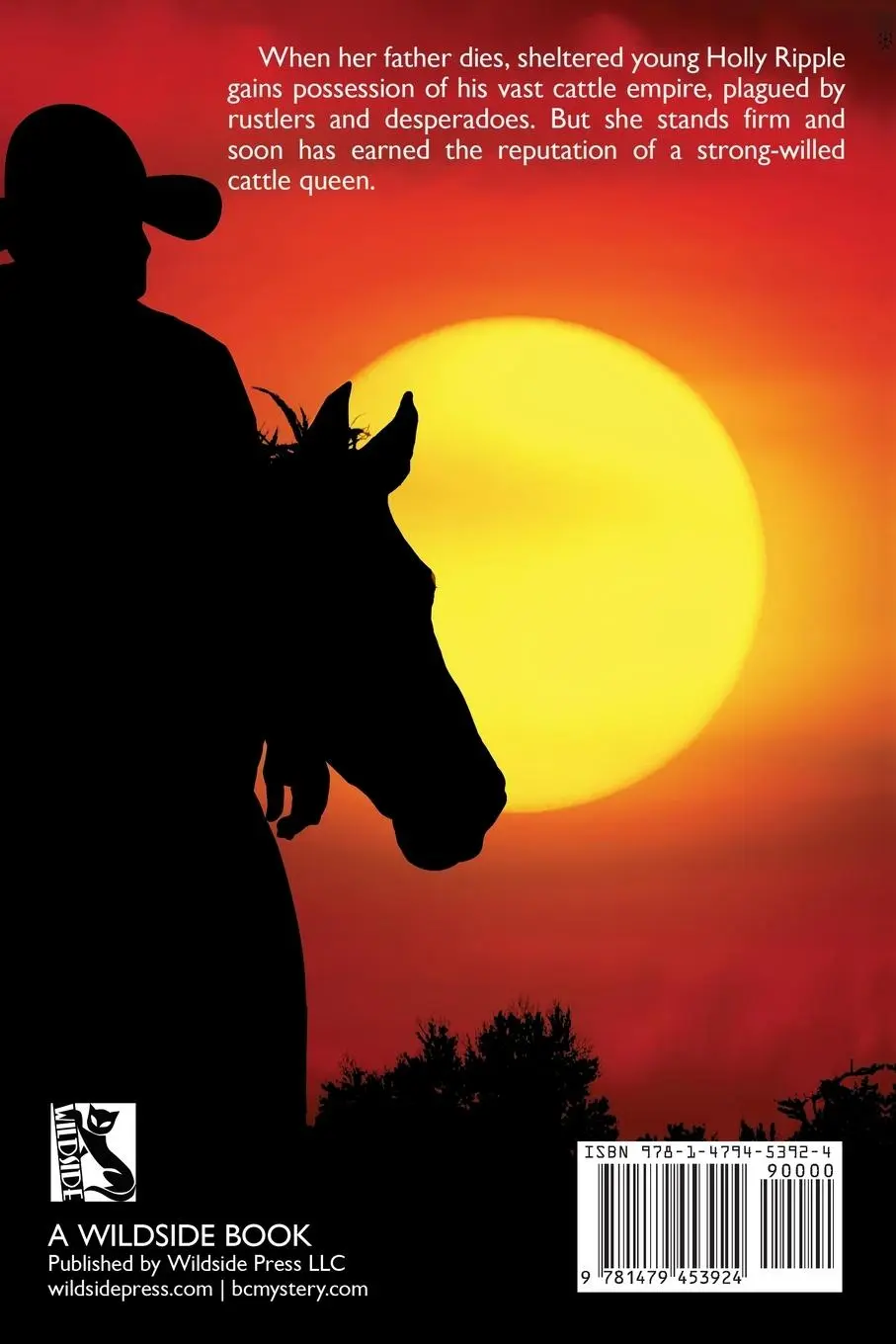 Rückseite: 9781479453924 | Knights of the Range | Zane Grey | Taschenbuch | Englisch | 2020