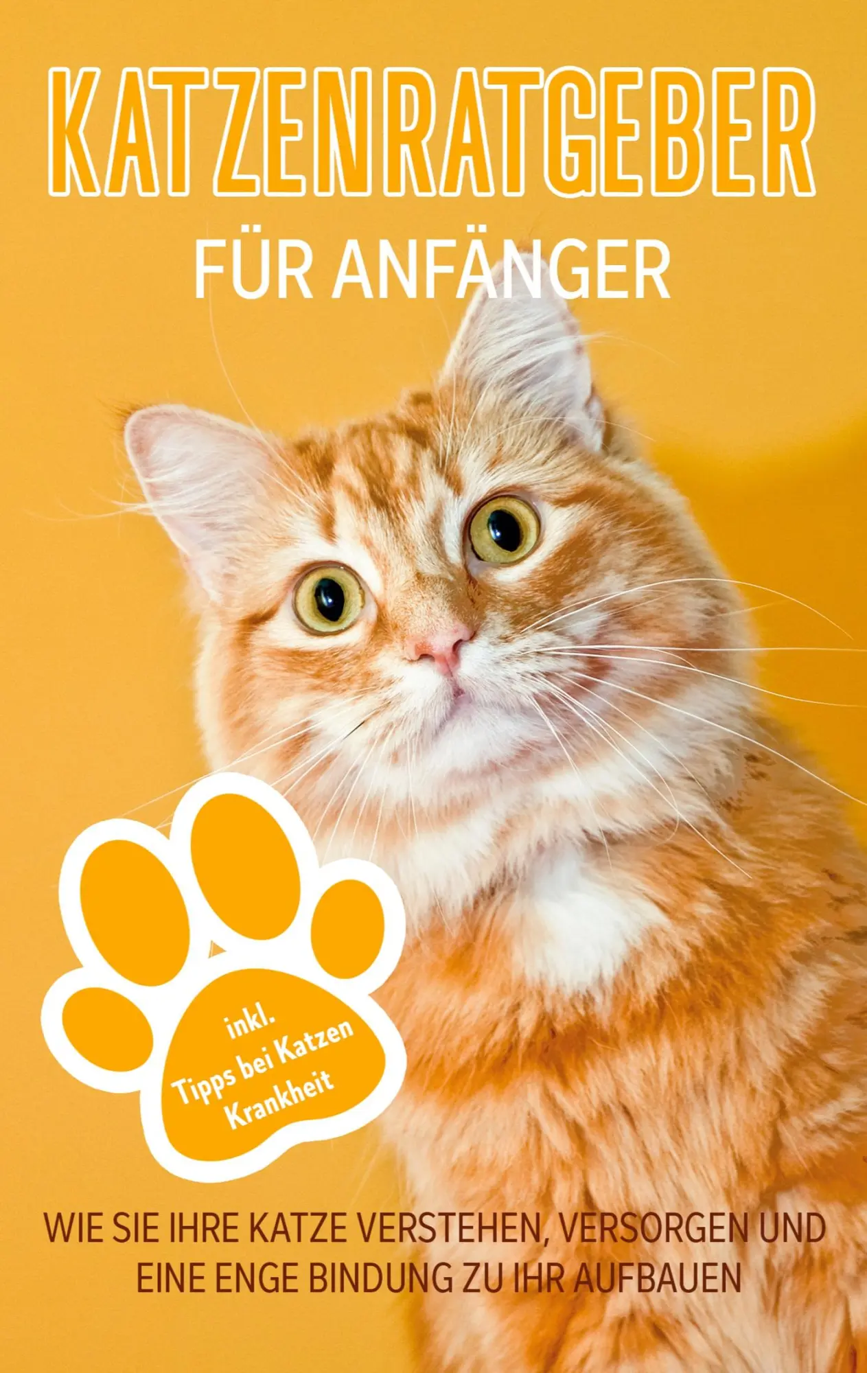 Cover: 9783756213924 | Katzenratgeber für Anfänger | Matthias Stolz | Taschenbuch | Paperback