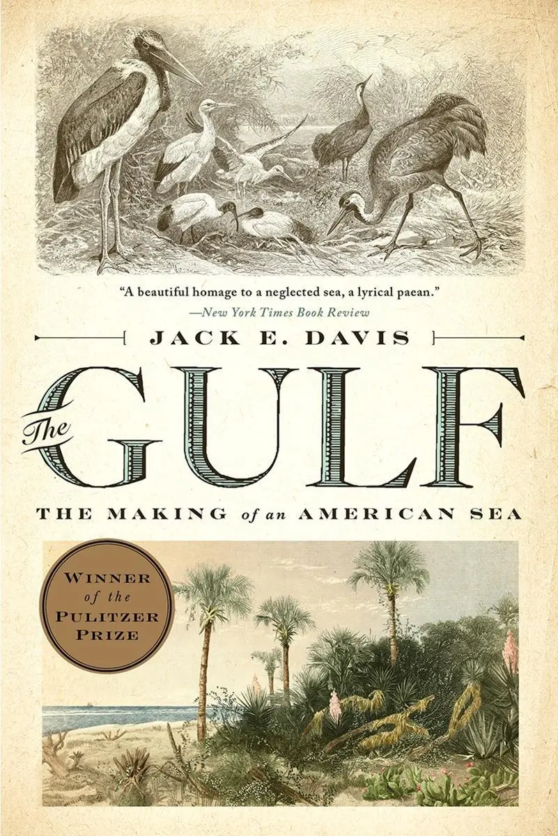 Cover: 9781631494024 | The Gulf | The Making of an American Sea | Jack E Davis | Taschenbuch