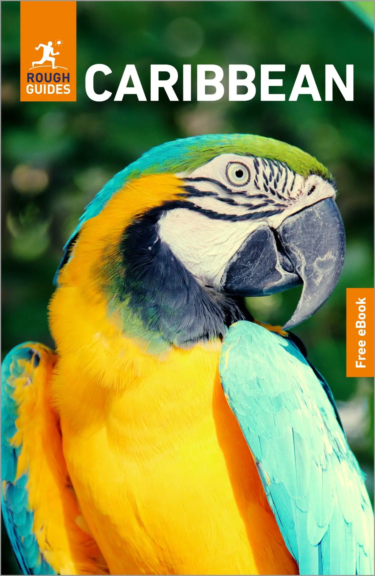 Cover: 9781835294024 | Rough Guides Caribbean: Travel Guide with eBook | Sarah Miles | Buch