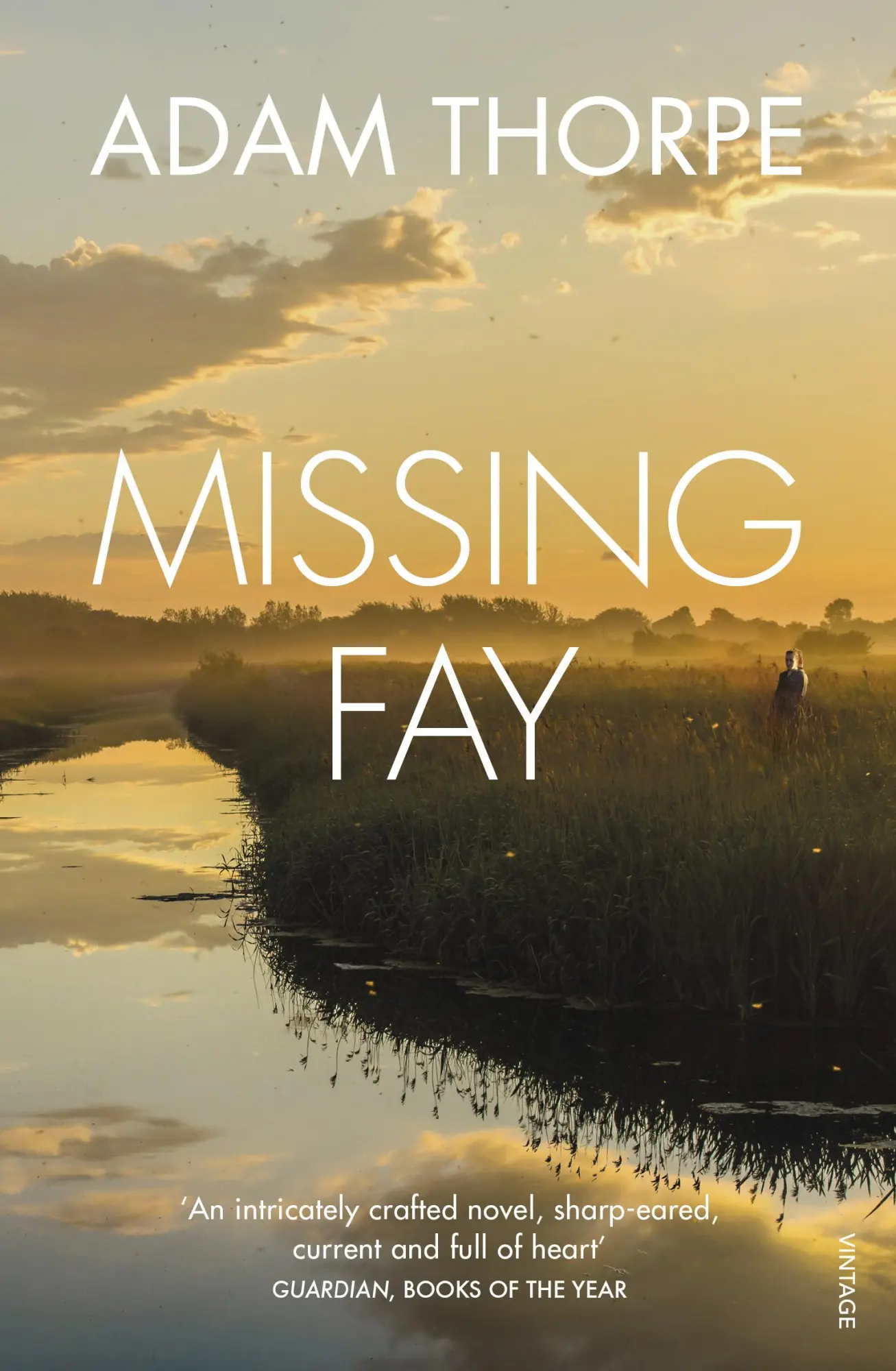 Cover: 9780099584124 | Missing Fay | Adam Thorpe | Taschenbuch | 320 S. | Englisch | 2018