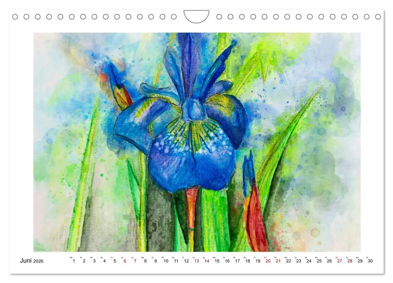 Bild: 9783457594124 | Blüten &amp; Blumen Aquarelle - Farbenfrohe Schönheiten (Wandkalender...