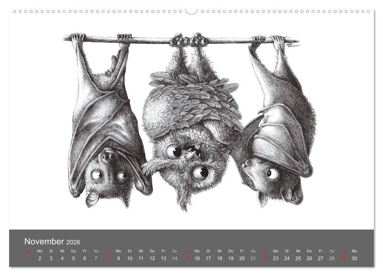 Bild: 9783516204124 | owls &amp; friends 2026 (hochwertiger Premium Wandkalender 2026 DIN A2...