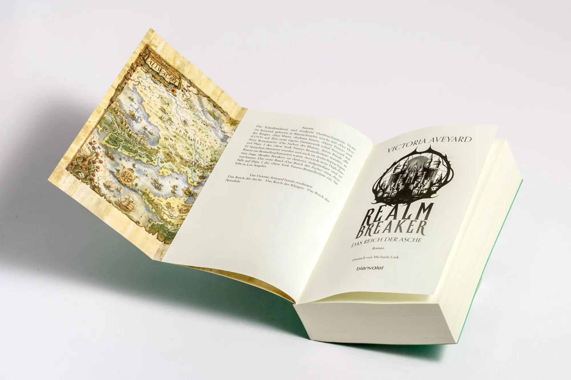 Bild: 9783734164224 | Das Reich der Asche - Realm Breaker 1 | Victoria Aveyard | Taschenbuch