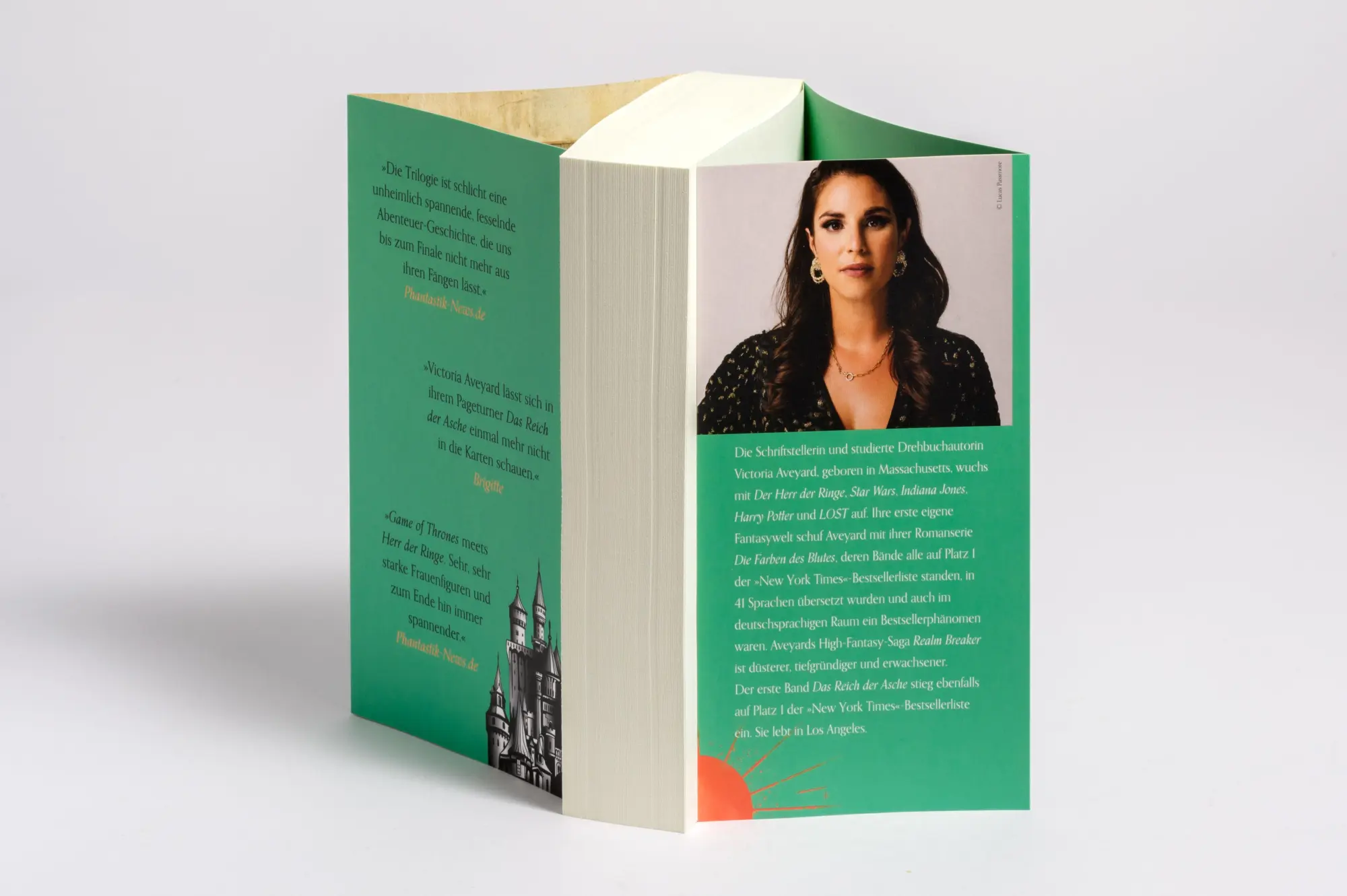 Bild: 9783734164224 | Das Reich der Asche - Realm Breaker 1 | Victoria Aveyard | Taschenbuch