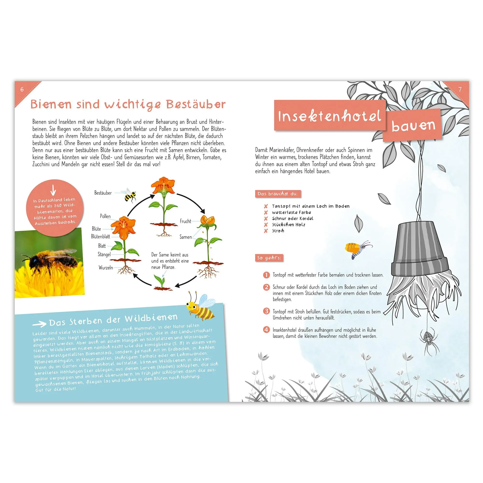 Bild: 9783963474224 | Activity Heft: Käfer und Co. | Anna Linstadt | Taschenbuch | 48 S.