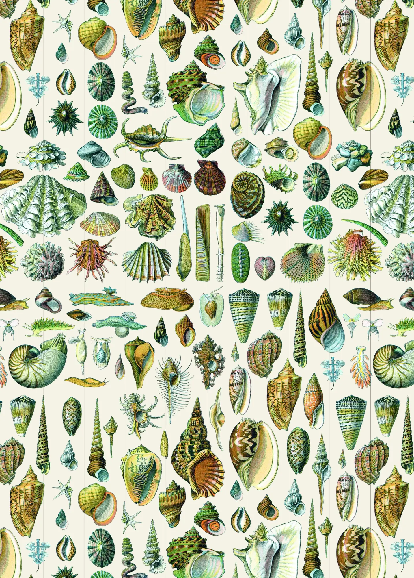 Bild: 9789460094224 | Natural History - Labels, Stickers &amp; Tape | Pepin van Roojen | Buch