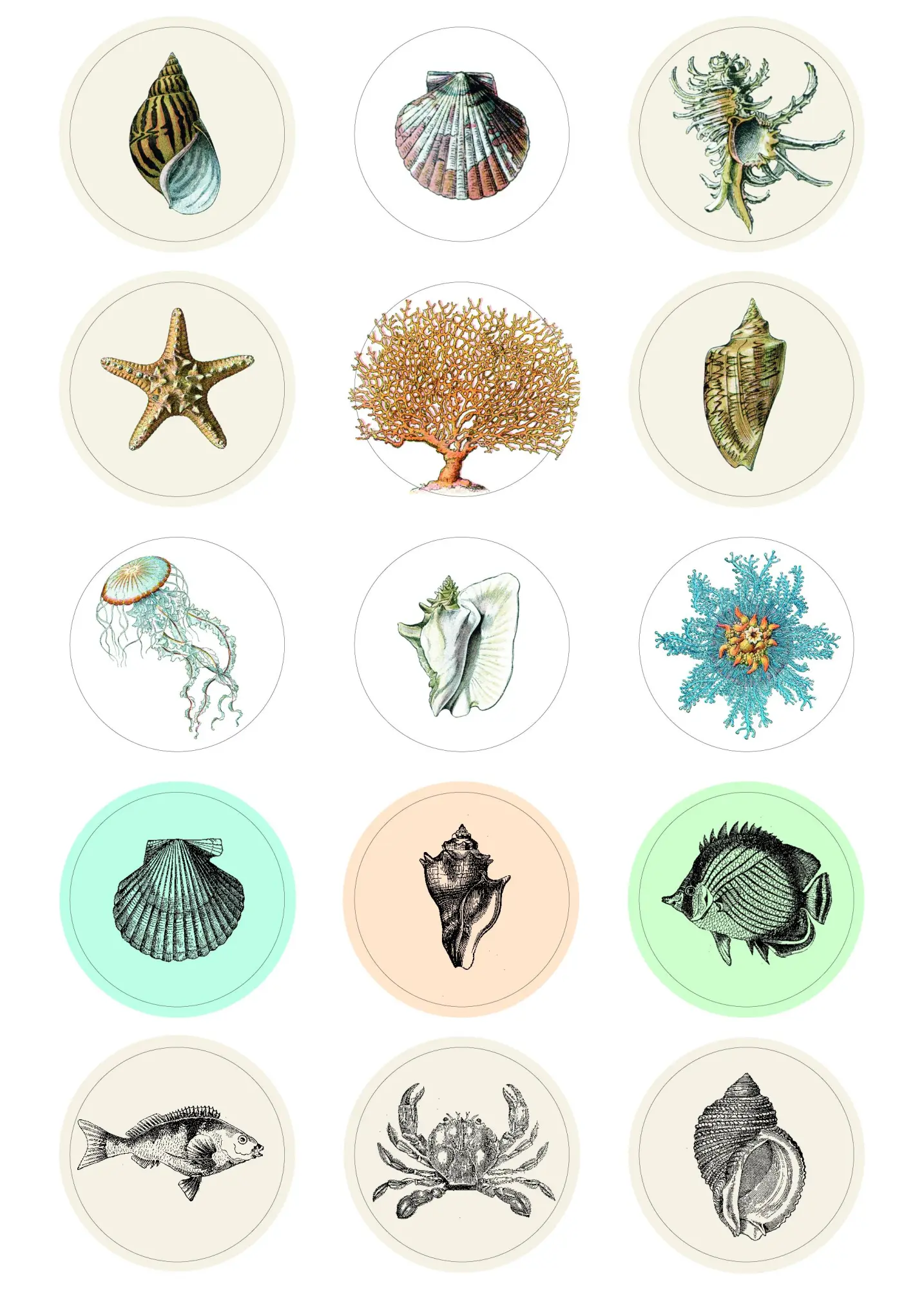 Bild: 9789460094224 | Natural History - Labels, Stickers &amp; Tape | Pepin van Roojen | Buch