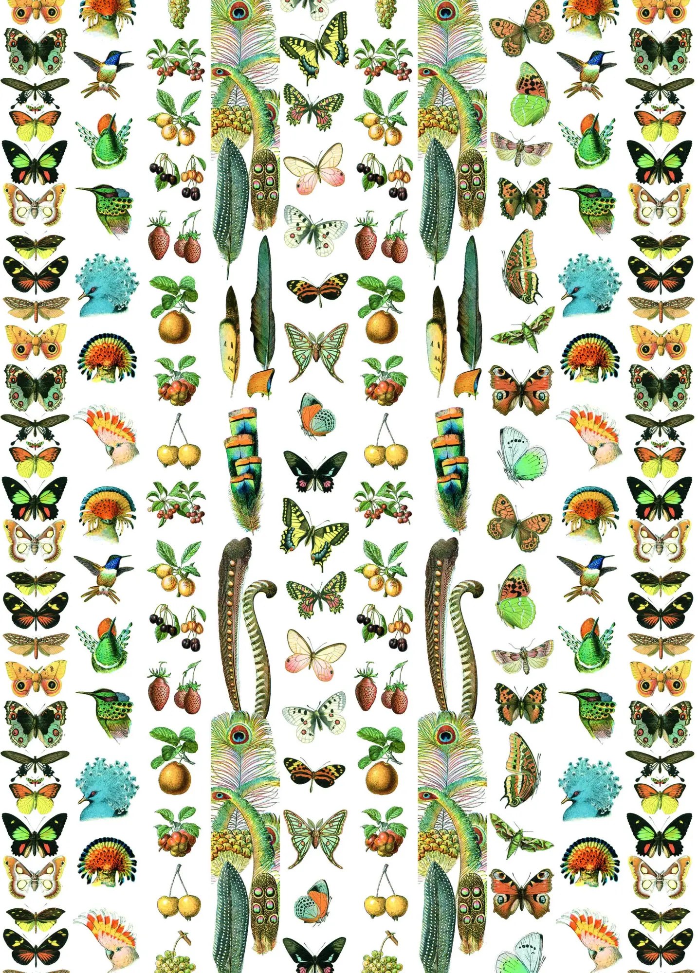 Bild: 9789460094224 | Natural History - Labels, Stickers &amp; Tape | Pepin van Roojen | Buch