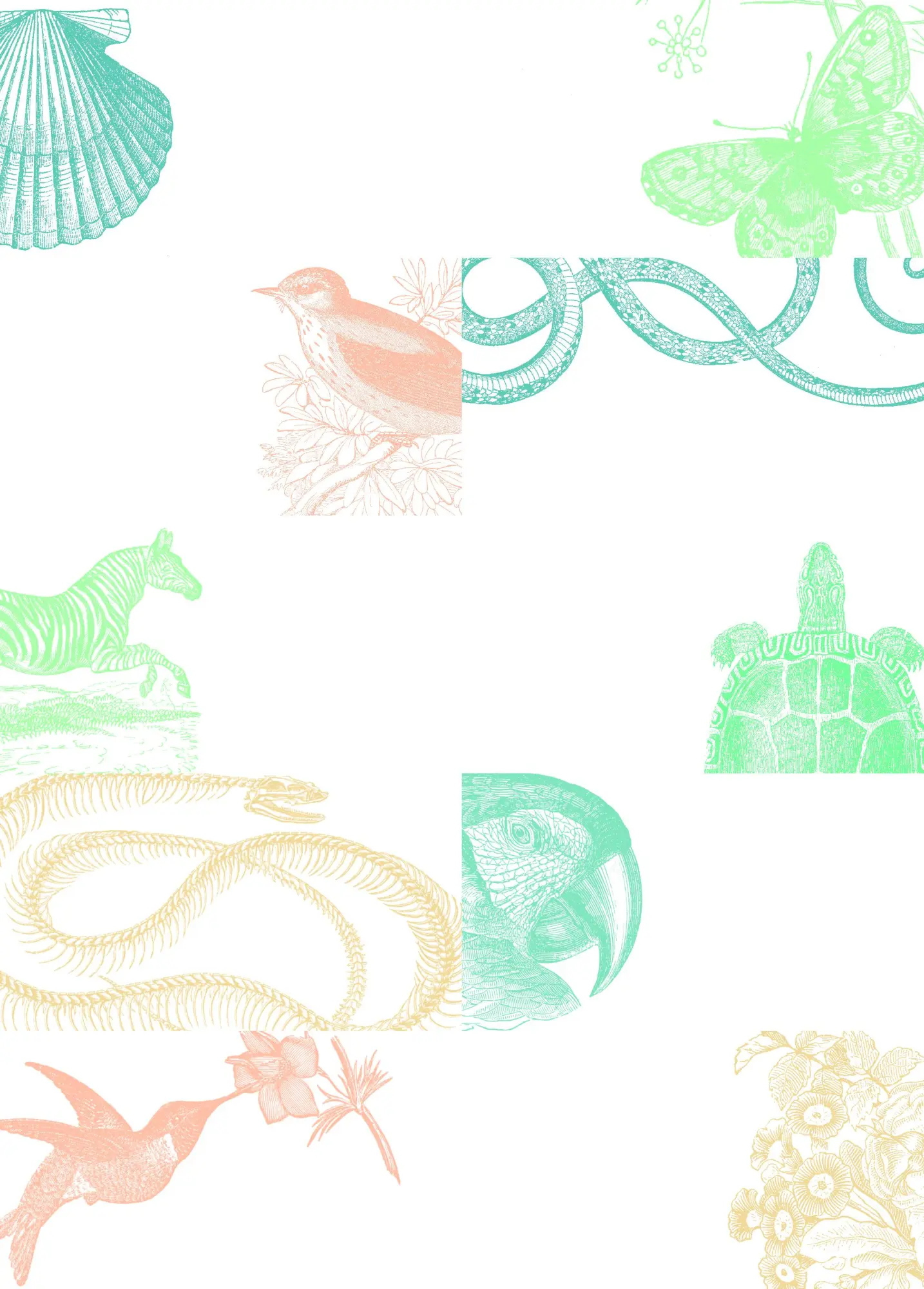 Bild: 9789460094224 | Natural History - Labels, Stickers &amp; Tape | Pepin van Roojen | Buch