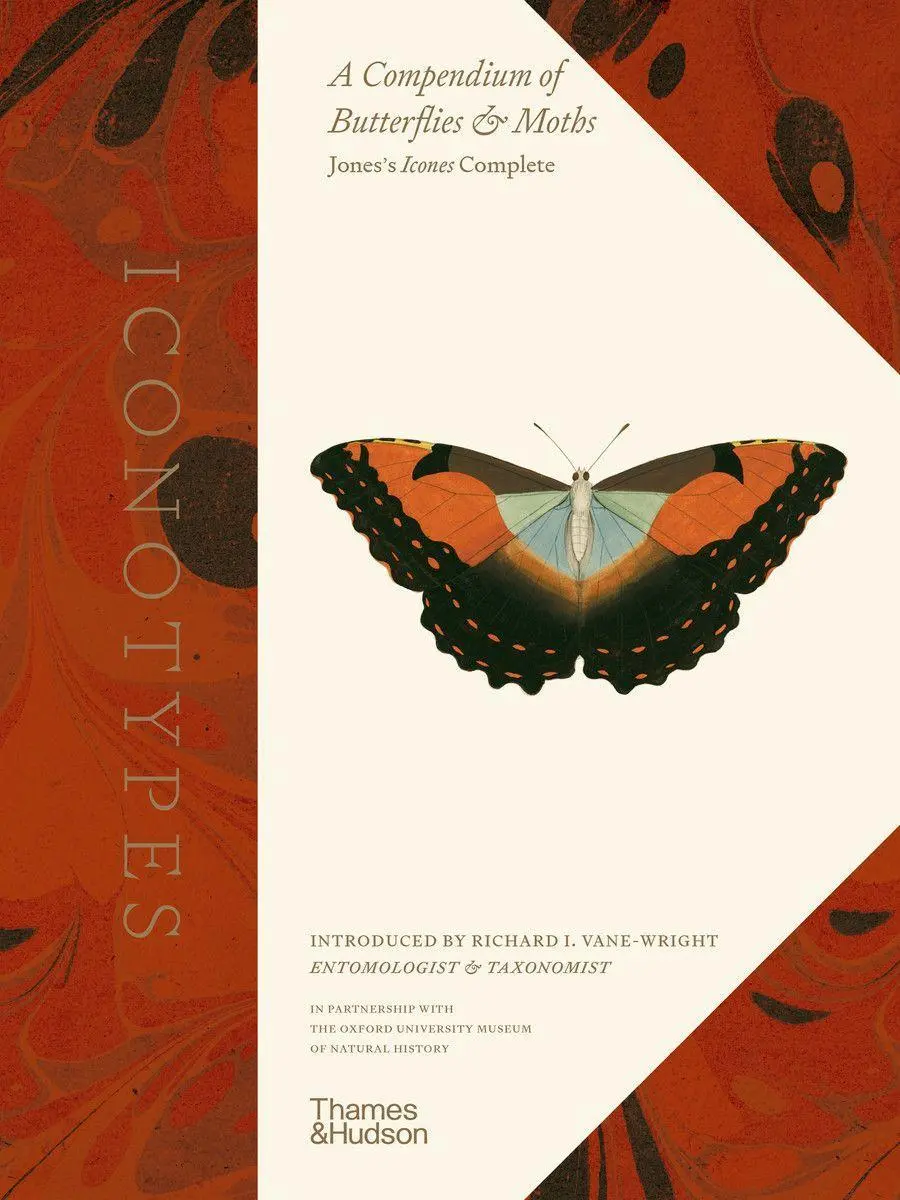Cover: 9780500024324 | Iconotypes | University Oxford | Buch | Gebunden | Englisch | 2021