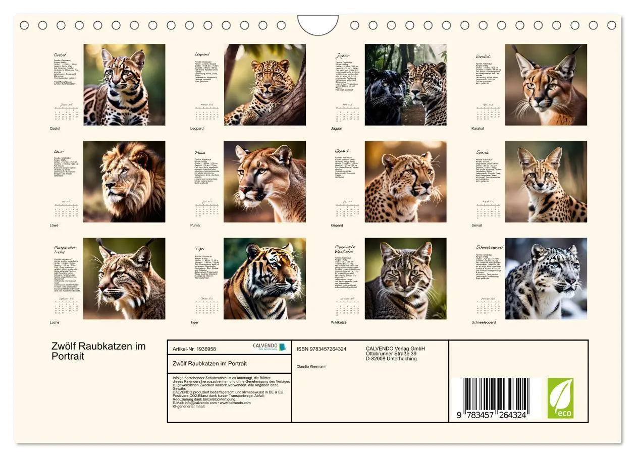 Bild: 9783457264324 | Zwölf Raubkatzen im Portrait (Wandkalender 2026 DIN A4 quer),...