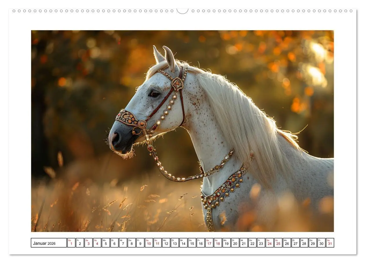 Bild: 9783457404324 | Bezaubernde Eleganz weißer Pferde (Wandkalender 2026 DIN A2 quer),...