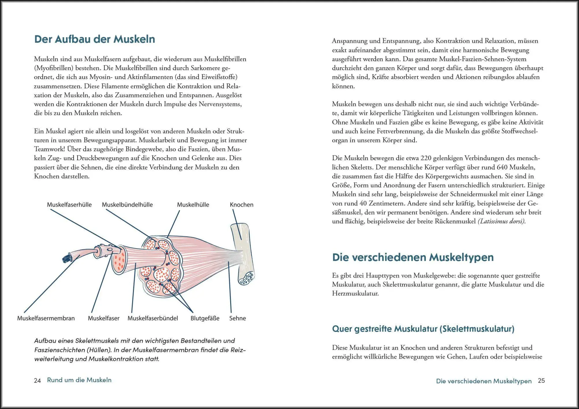 Bild: 9783517104324 | Kraft und Stabilität bis ins hohe Alter | Peter Poeckh | Taschenbuch