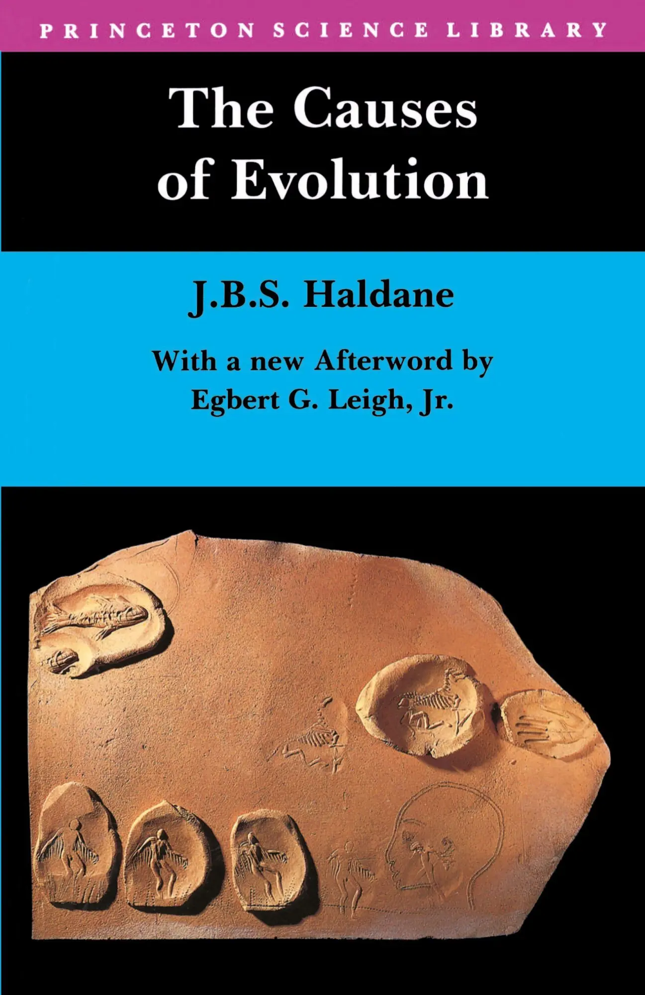 Cover: 9780691024424 | The Causes of Evolution | John Burdon Haldane | Taschenbuch | Englisch