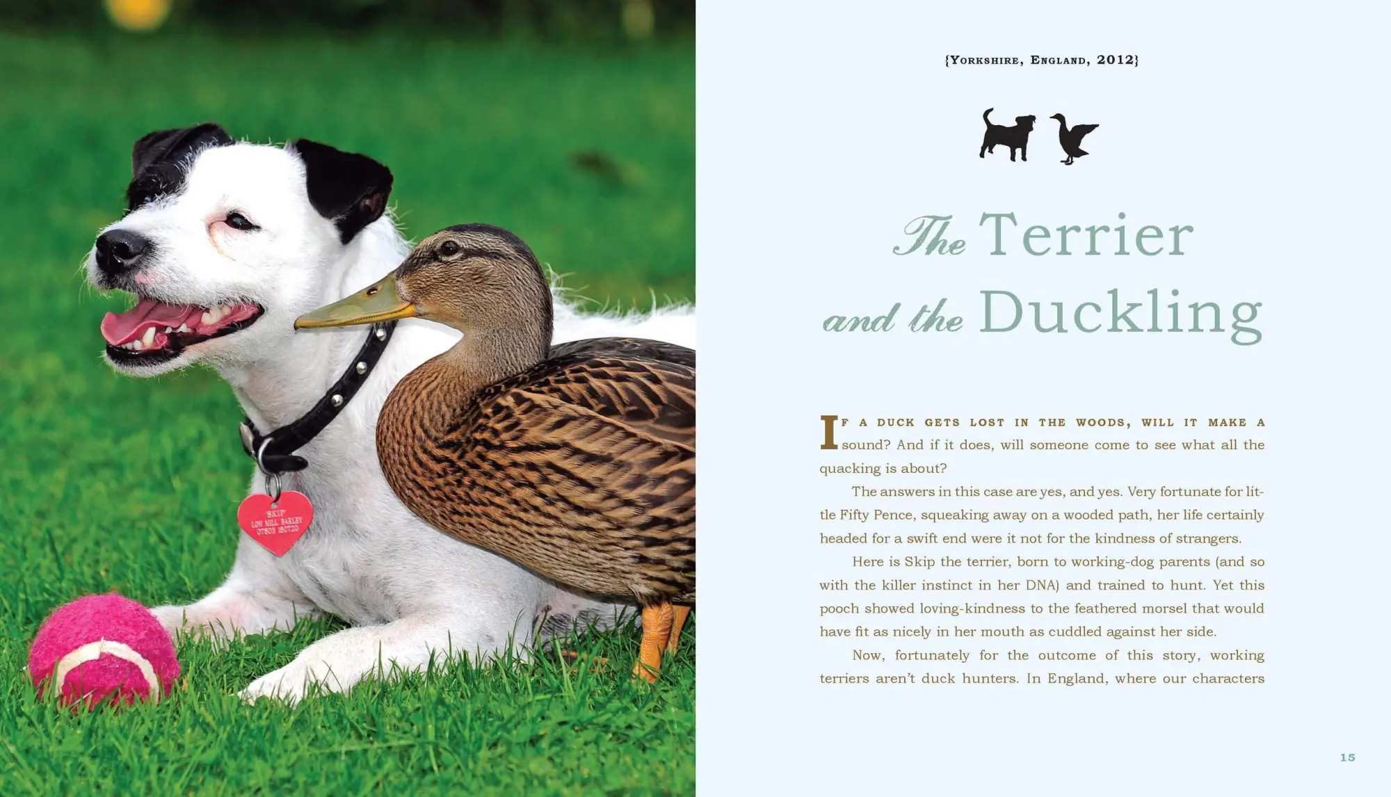 Bild: 9780761174424 | Unlikely Loves | 43 Heartwarming True Stories from the Animal Kingdom