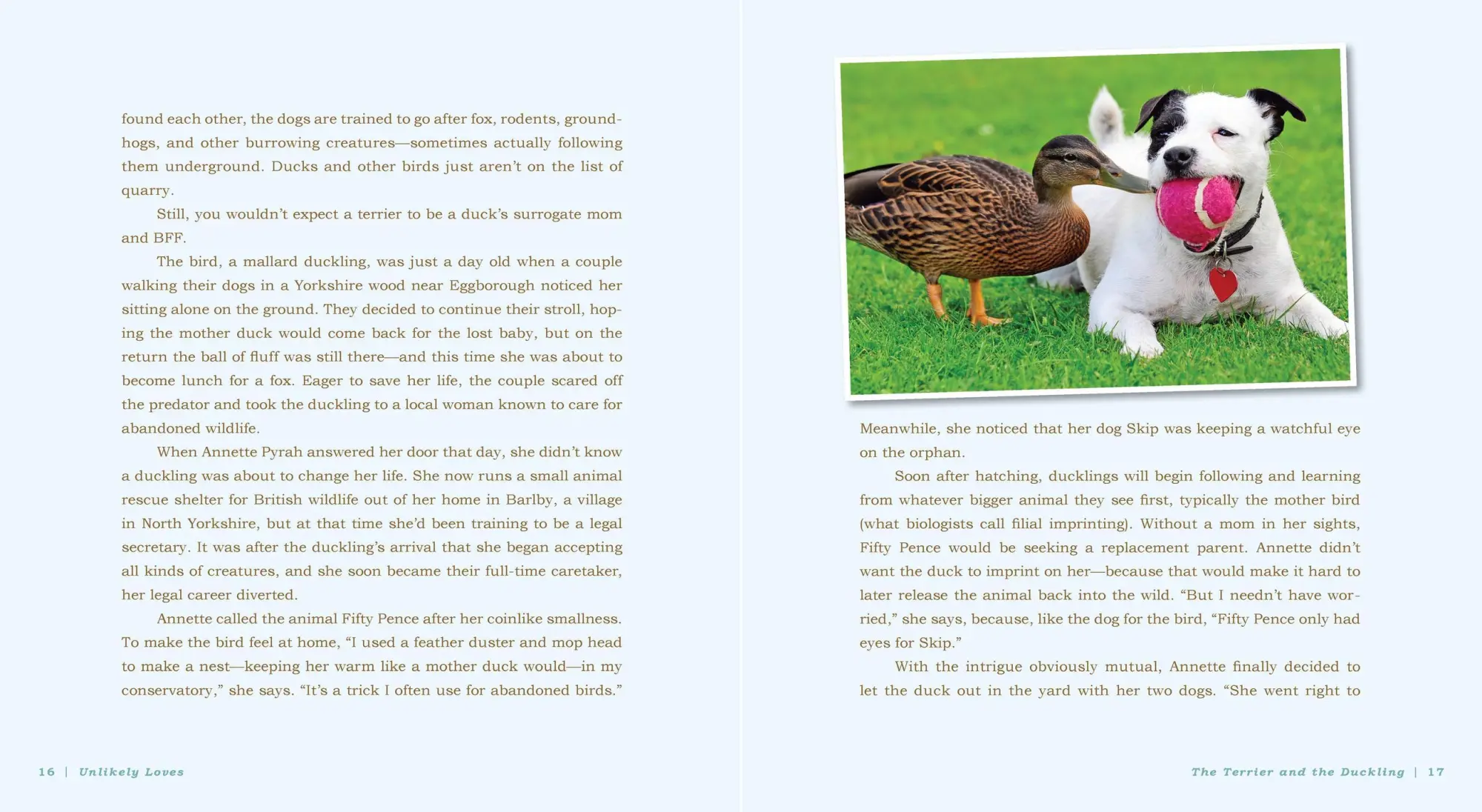 Bild: 9780761174424 | Unlikely Loves | 43 Heartwarming True Stories from the Animal Kingdom