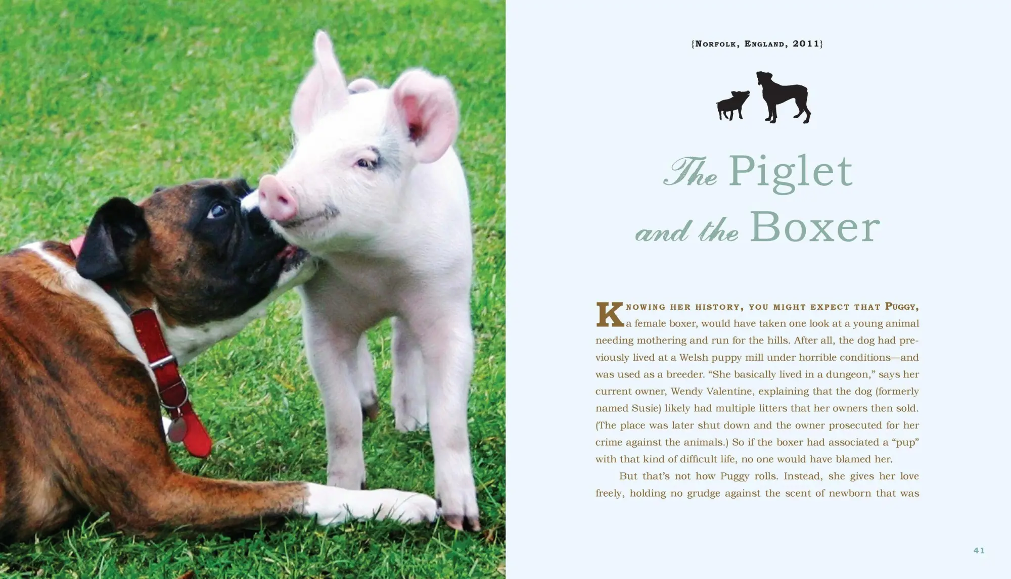 Bild: 9780761174424 | Unlikely Loves | 43 Heartwarming True Stories from the Animal Kingdom