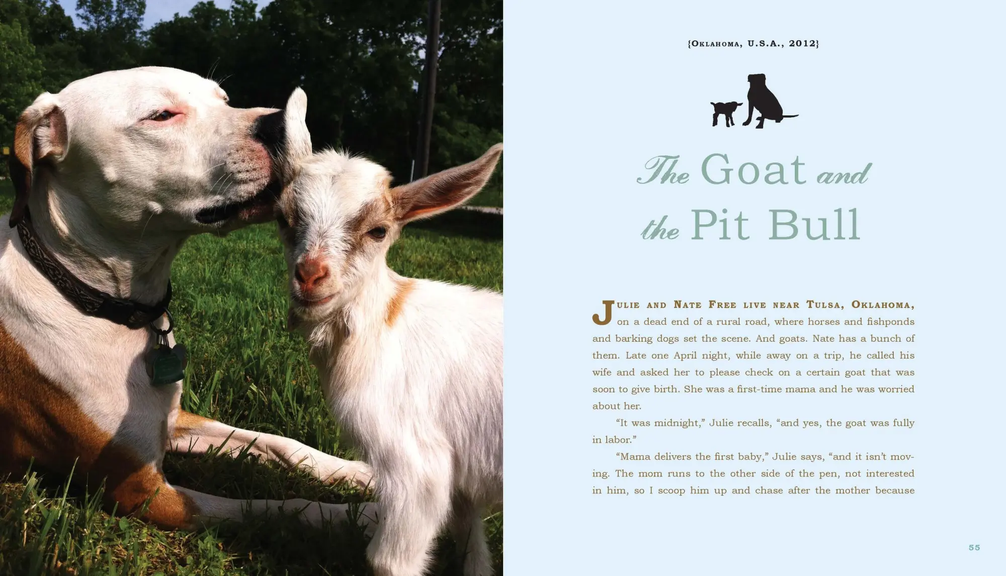 Bild: 9780761174424 | Unlikely Loves | 43 Heartwarming True Stories from the Animal Kingdom