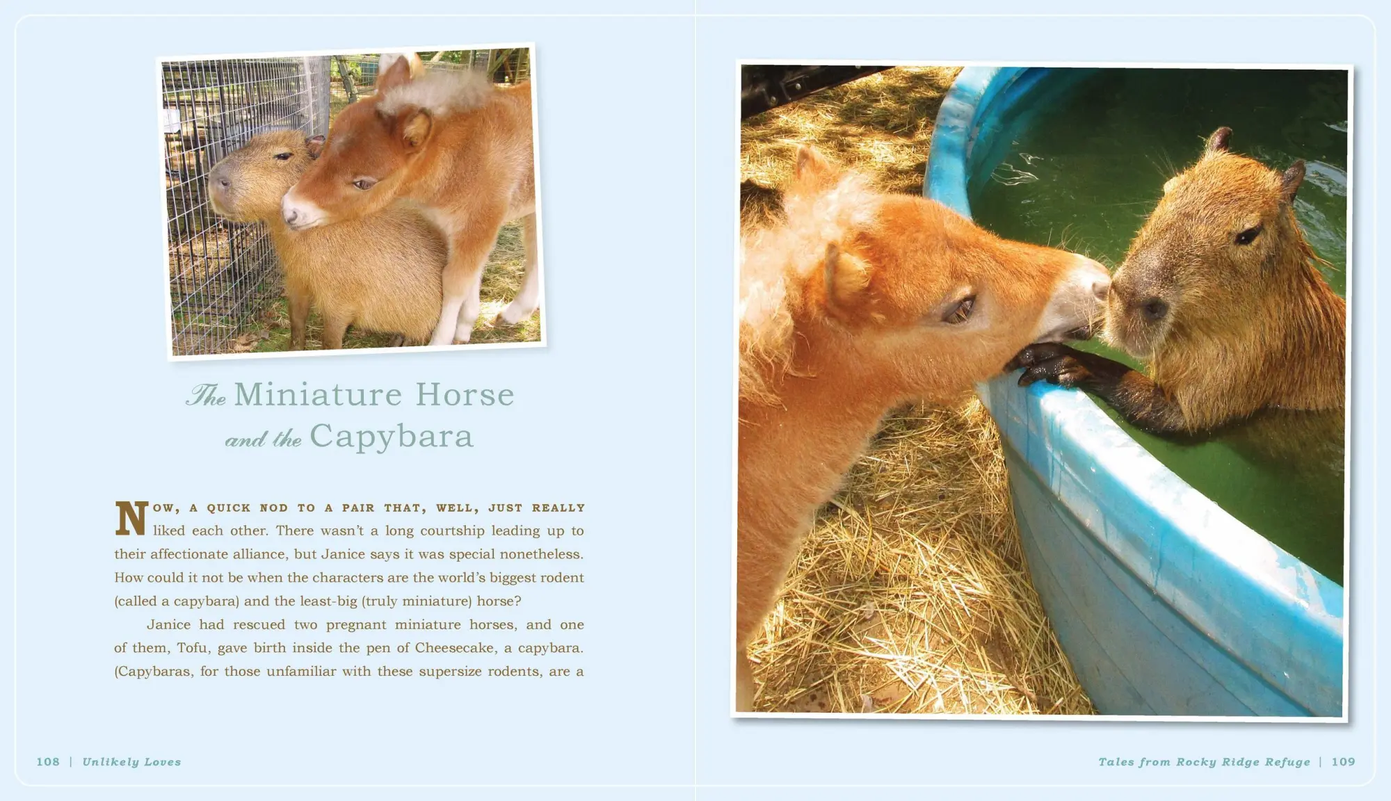 Bild: 9780761174424 | Unlikely Loves | 43 Heartwarming True Stories from the Animal Kingdom