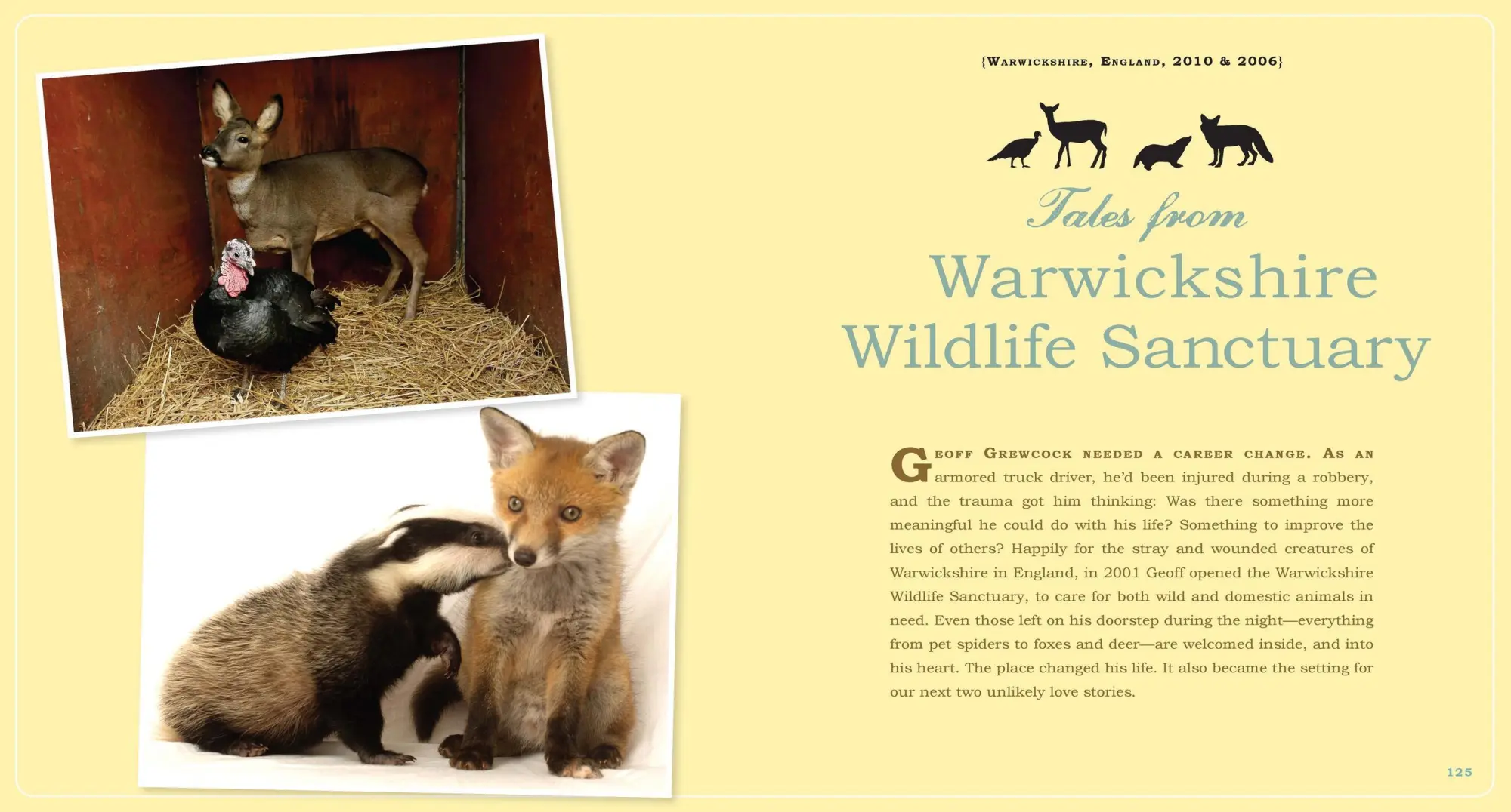 Bild: 9780761174424 | Unlikely Loves | 43 Heartwarming True Stories from the Animal Kingdom