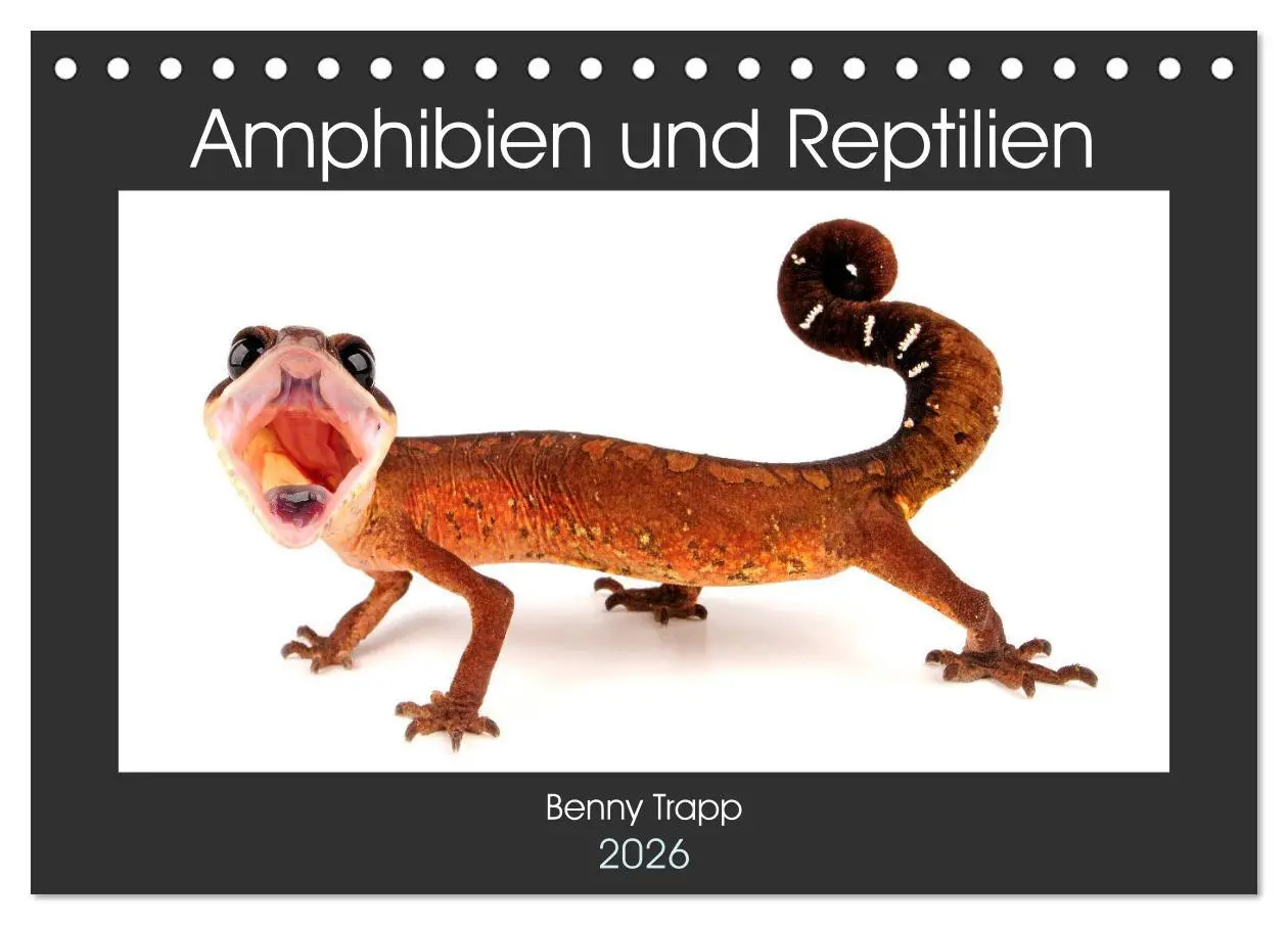 Cover: 9783457874424 | Amphibien und Reptilien (Tischkalender 2026 DIN A5 quer), CALVENDO...