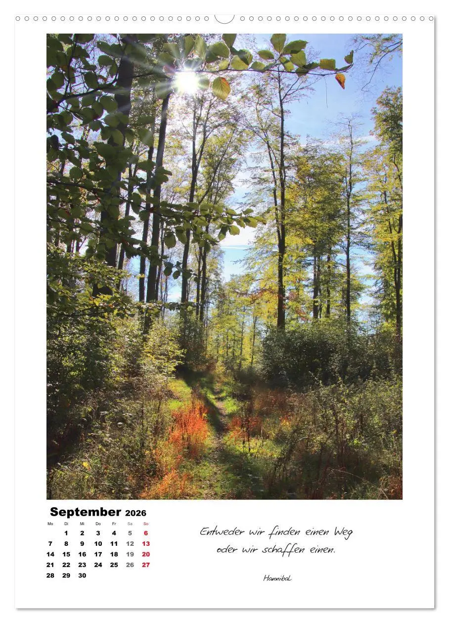 Bild: 9783516414424 | Wege durchs Jahr - Spaziergänge im schönen Nordhessen (hochwertiger...