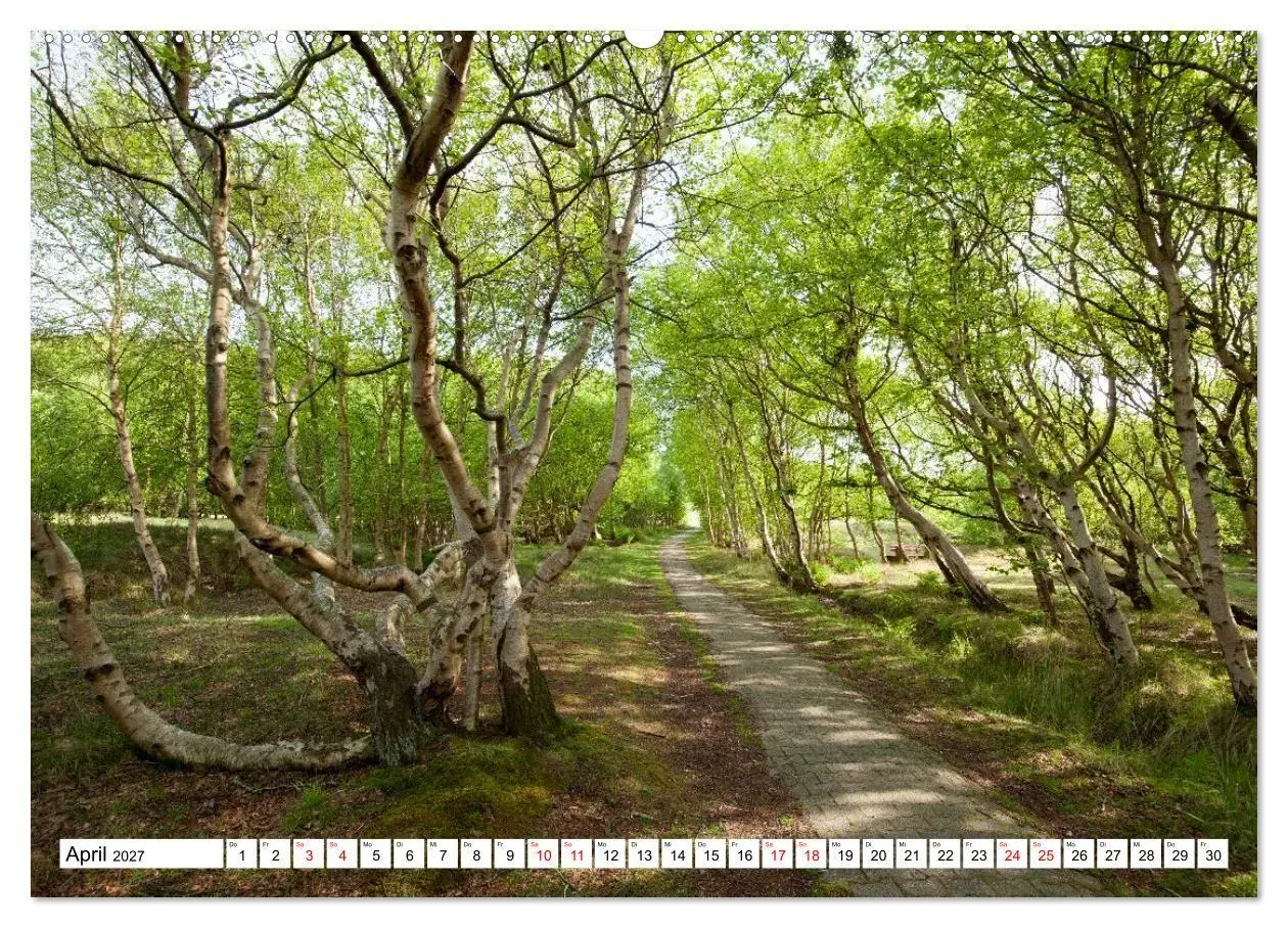 Bild: 9783569504424 | Baltrum - Momente einer Reise (hochwertiger Premium Wandkalender...