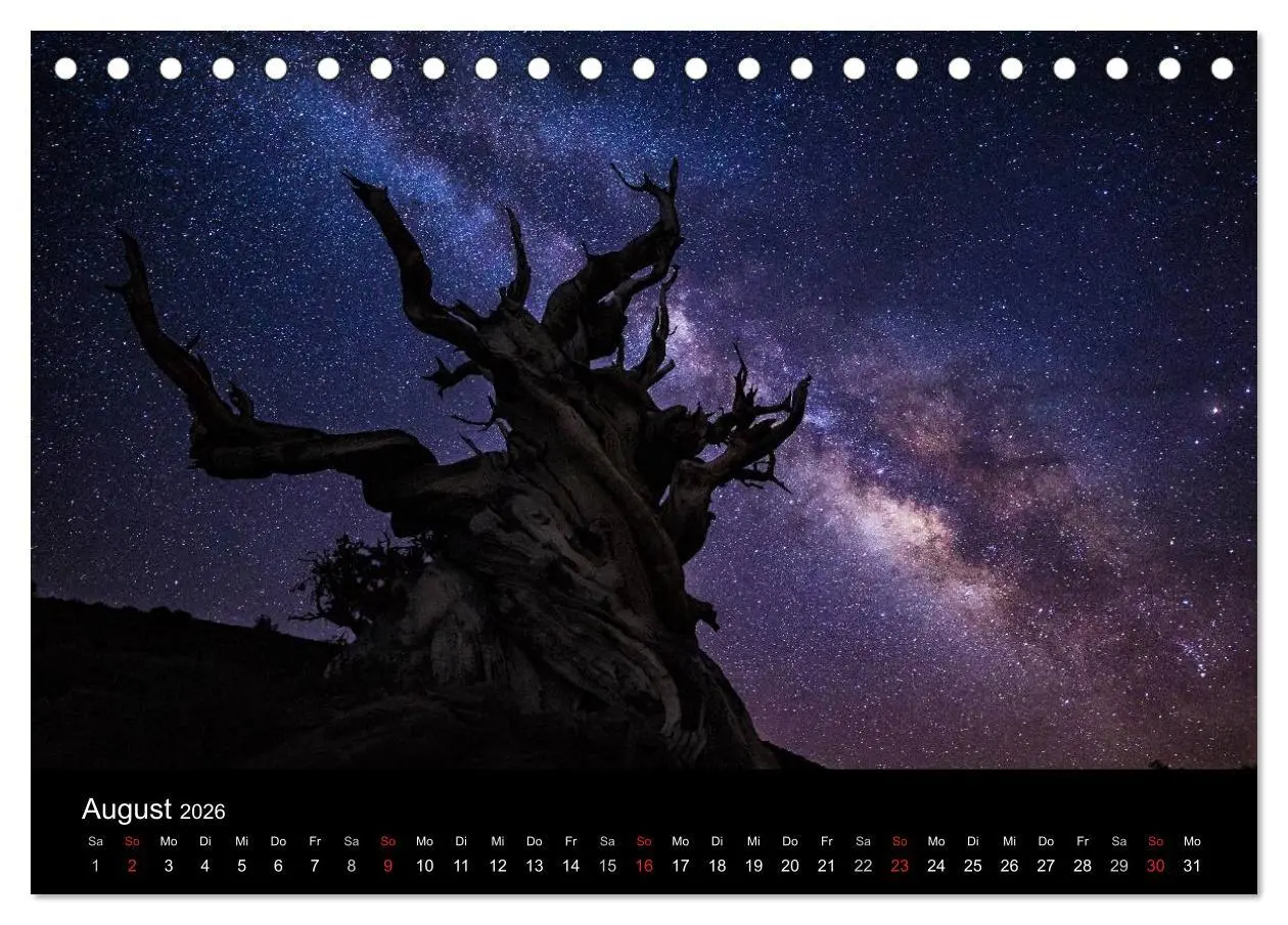 Bild: 9783516024524 | Sternensucher - Landschaft unter Sternen (Tischkalender 2026 DIN A5...