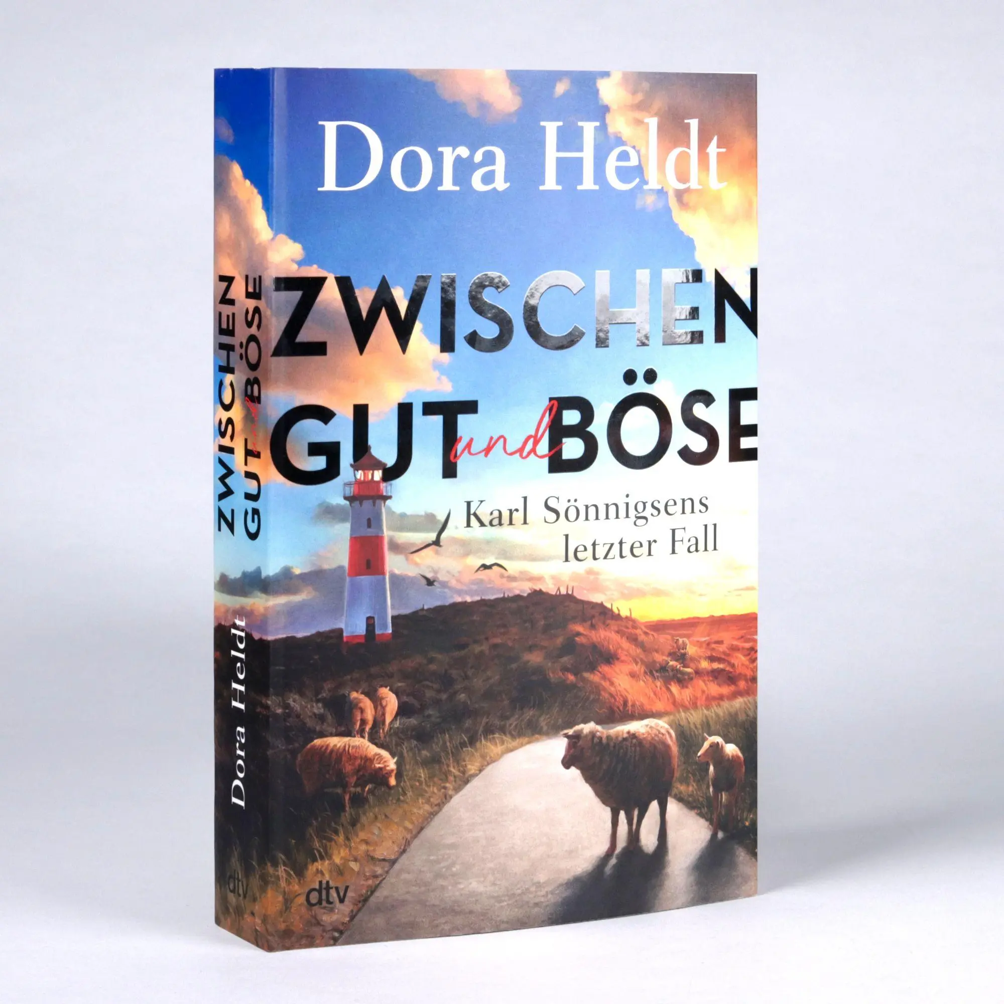 Bild: 9783423264624 | Zwischen Gut und Böse | Dora Heldt | Taschenbuch | 368 S. | Deutsch
