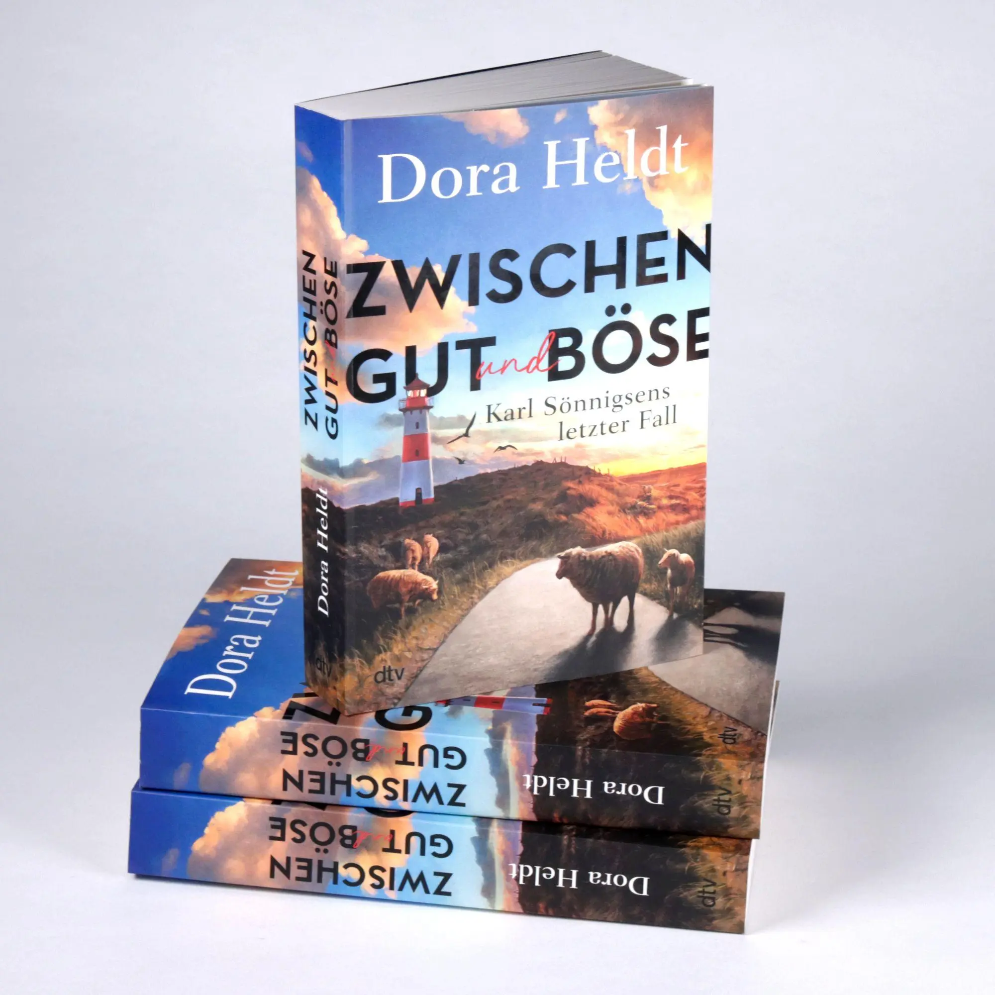 Bild: 9783423264624 | Zwischen Gut und Böse | Dora Heldt | Taschenbuch | 368 S. | Deutsch