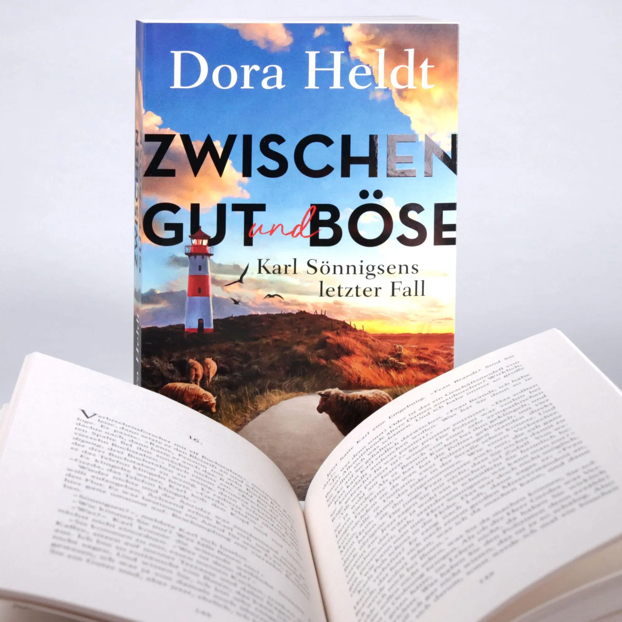 Bild: 9783423264624 | Zwischen Gut und Böse | Dora Heldt | Taschenbuch | 368 S. | Deutsch