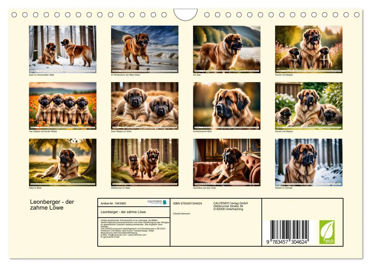 Bild: 9783457304624 | Leonberger - der zahme Löwe (Wandkalender 2026 DIN A4 quer),...
