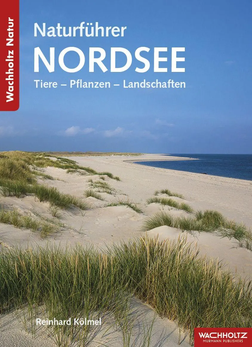 Cover: 9783529054624 | Naturführer Nordsee | Tiere - Pflanzen - Landschaften | Kölmel | Buch
