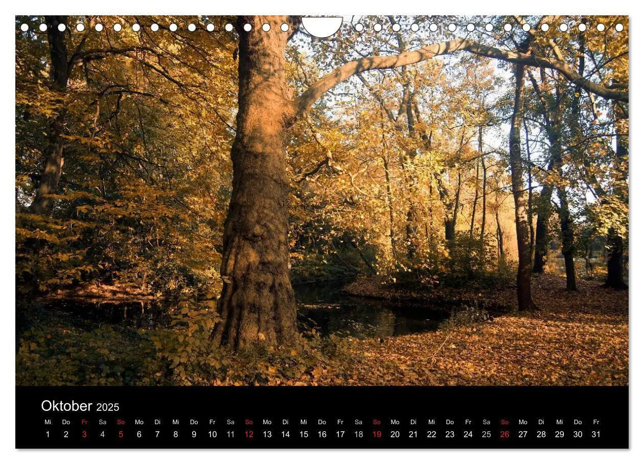 Bild: 9783435754724 | Düsseldorf 2025 (Wandkalender 2025 DIN A4 quer), CALVENDO...