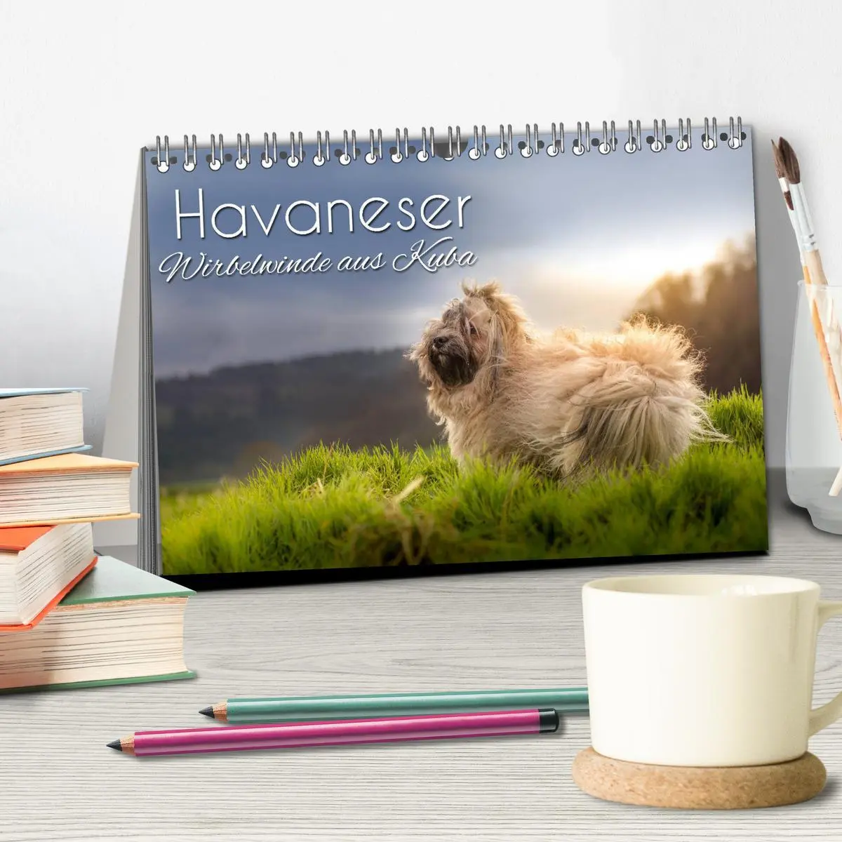 Bild: 9783457844724 | Havaneser - Wirbelwinde aus Kuba (Tischkalender 2026 DIN A5 quer),...