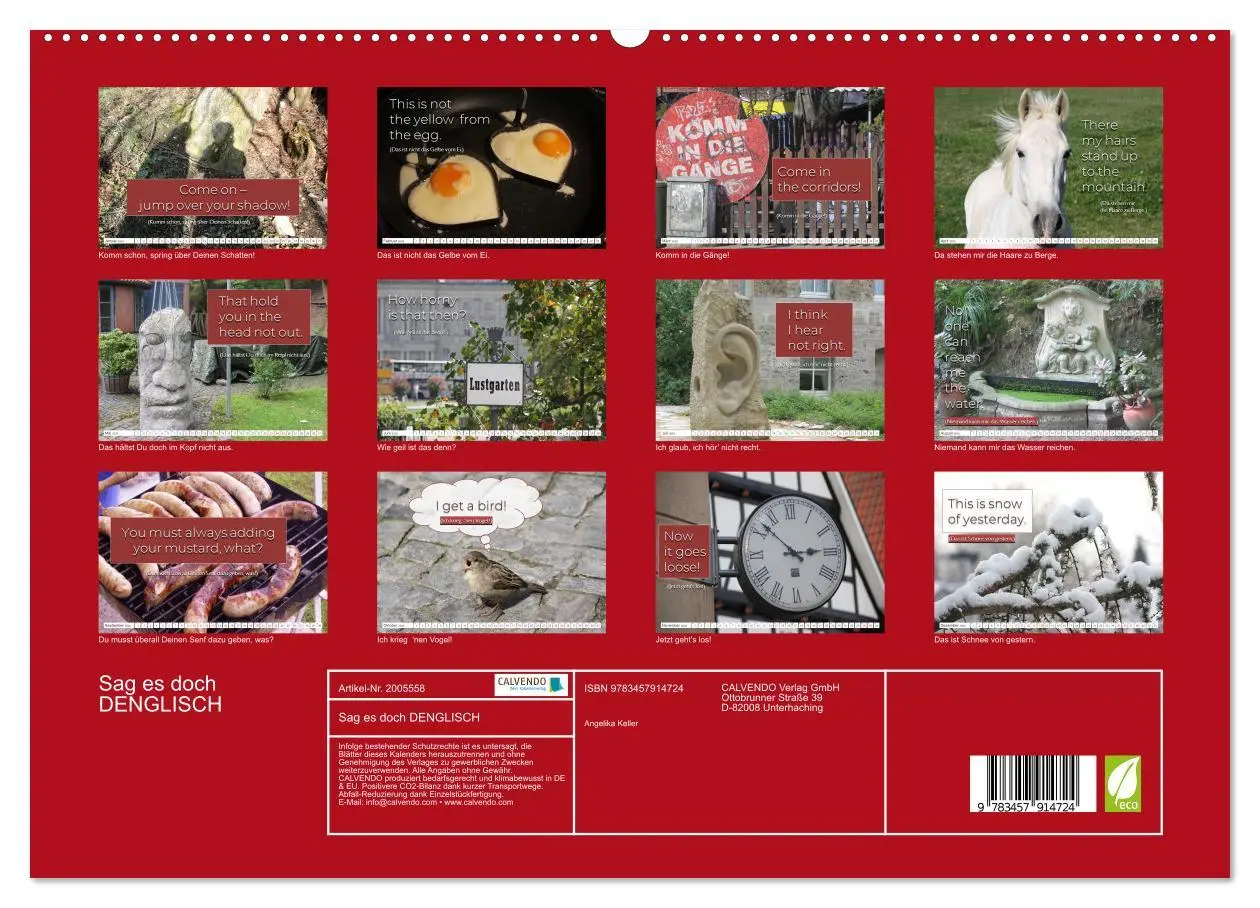 Bild: 9783457914724 | Sag es doch DENGLISCH (Wandkalender 2026 DIN A2 quer), CALVENDO...