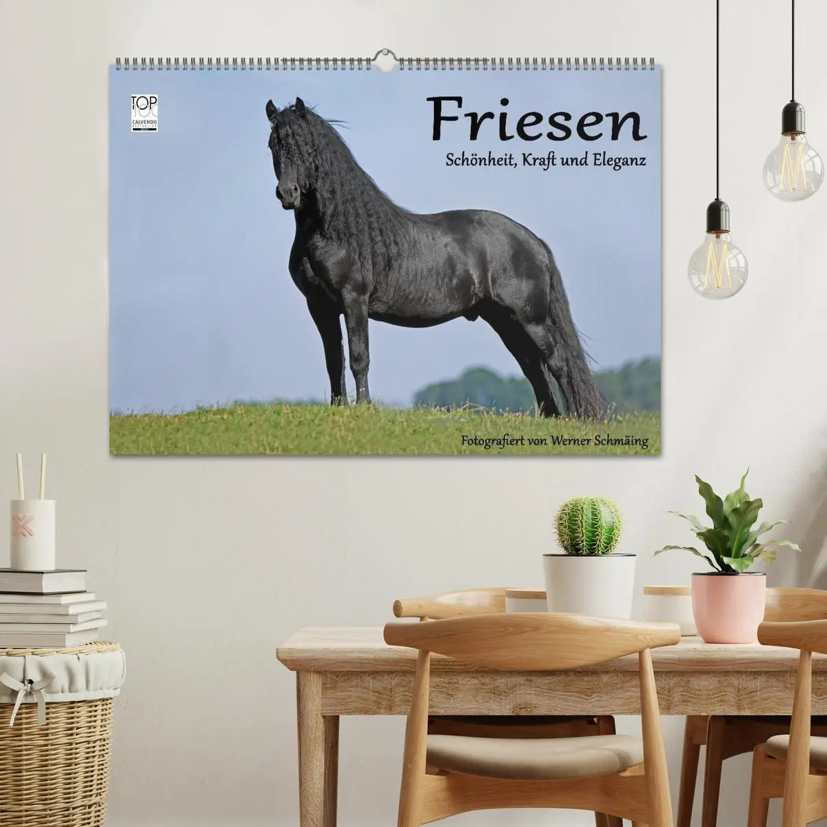 Bild: 9783516004724 | Friesen - Schönheit, Kraft und Eleganz (Wandkalender 2026 DIN A2...