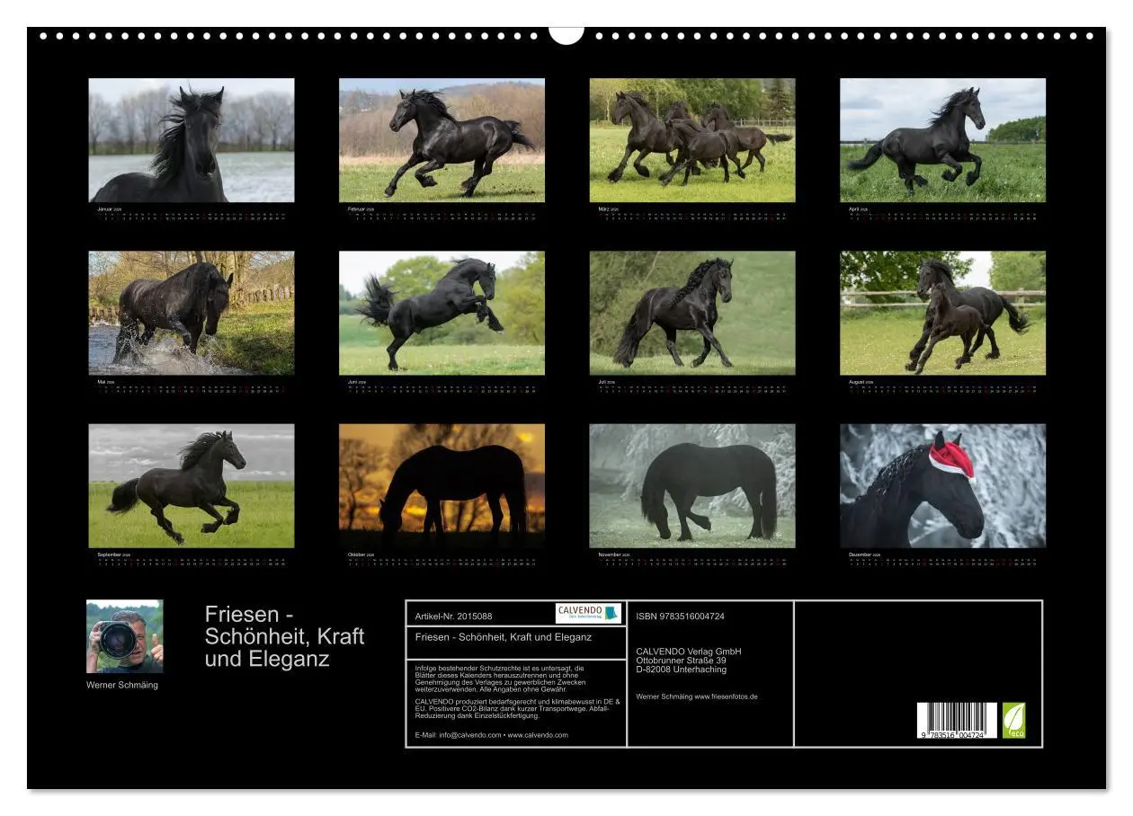 Bild: 9783516004724 | Friesen - Schönheit, Kraft und Eleganz (Wandkalender 2026 DIN A2...