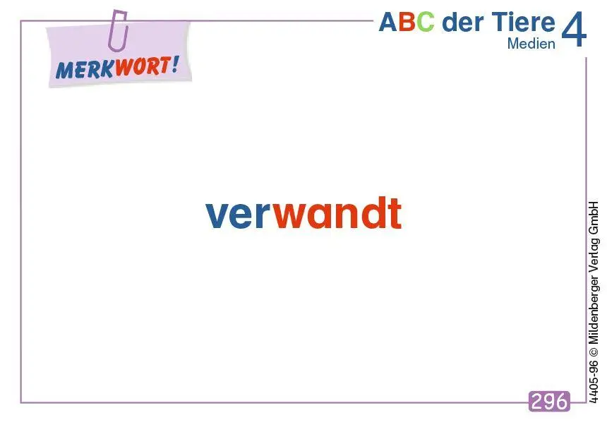 Bild: 9783619994724 | ABC der Tiere 4 - Wortkarten (Nachbezug) | Eine Wörterkartei zum Üben