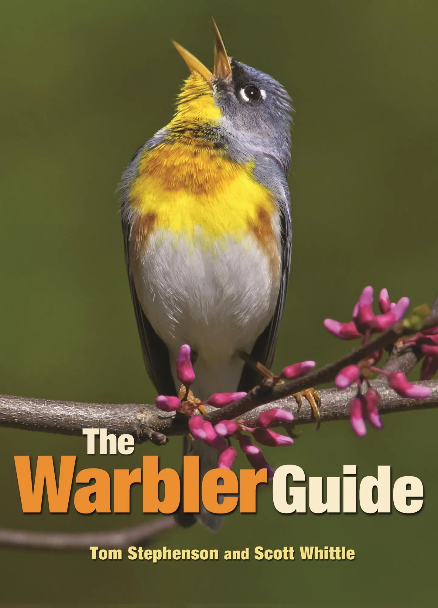 Cover: 9780691154824 | The Warbler Guide | Tom Stephenson (u. a.) | Taschenbuch | Englisch