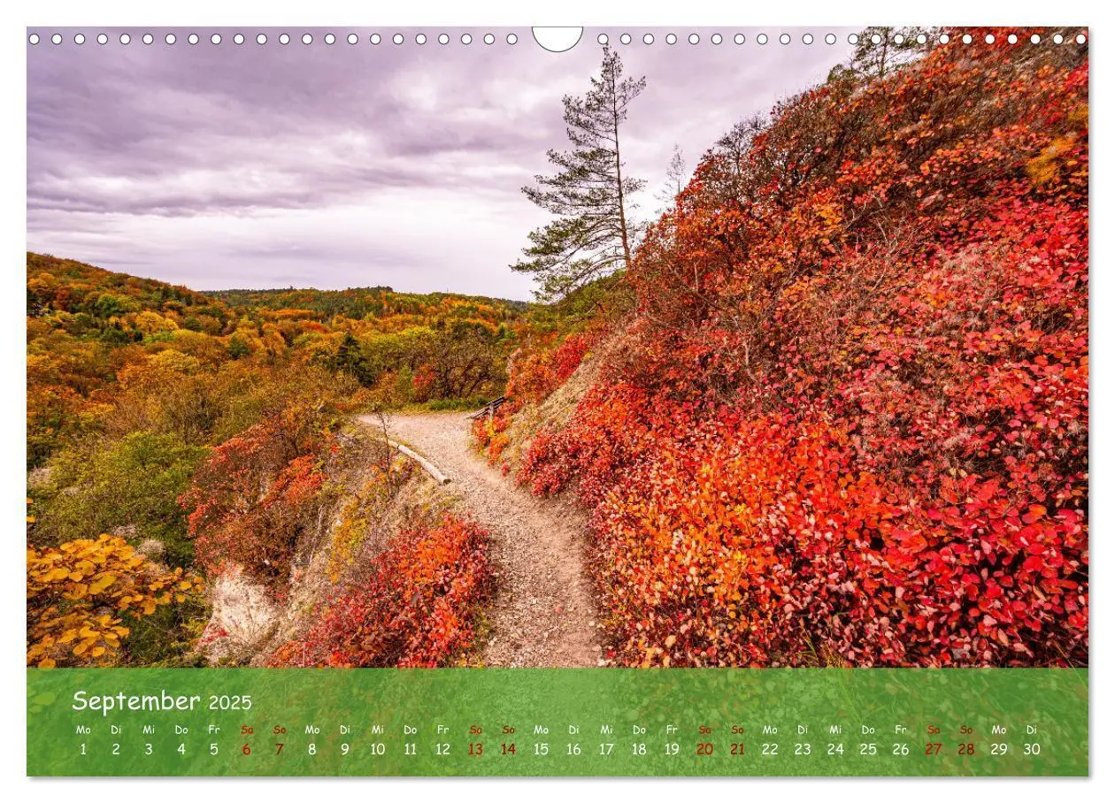 Bild: 9783435744824 | Jena 2025 - Faszination in Bildern (Wandkalender 2025 DIN A3 quer),...