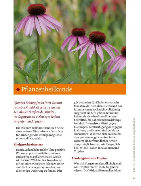 Bild: 9783706624824 | Die Kinderapotheke für Zuhause | Marialuise Maier | Buch | 182 S.